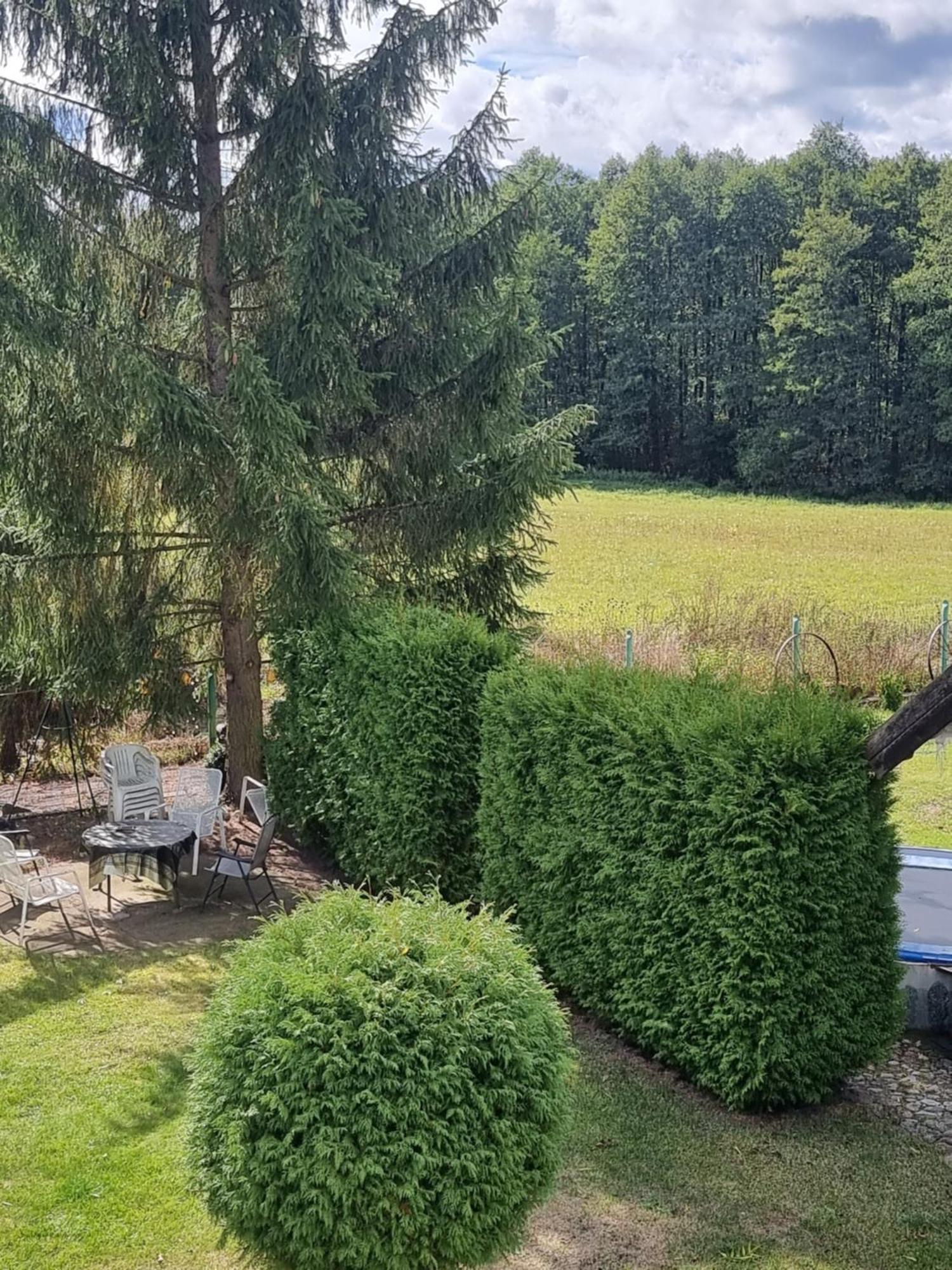 Agroturystyka Nienasycenie Brzezno Lynskie Exterior photo